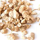 wild-yam-root